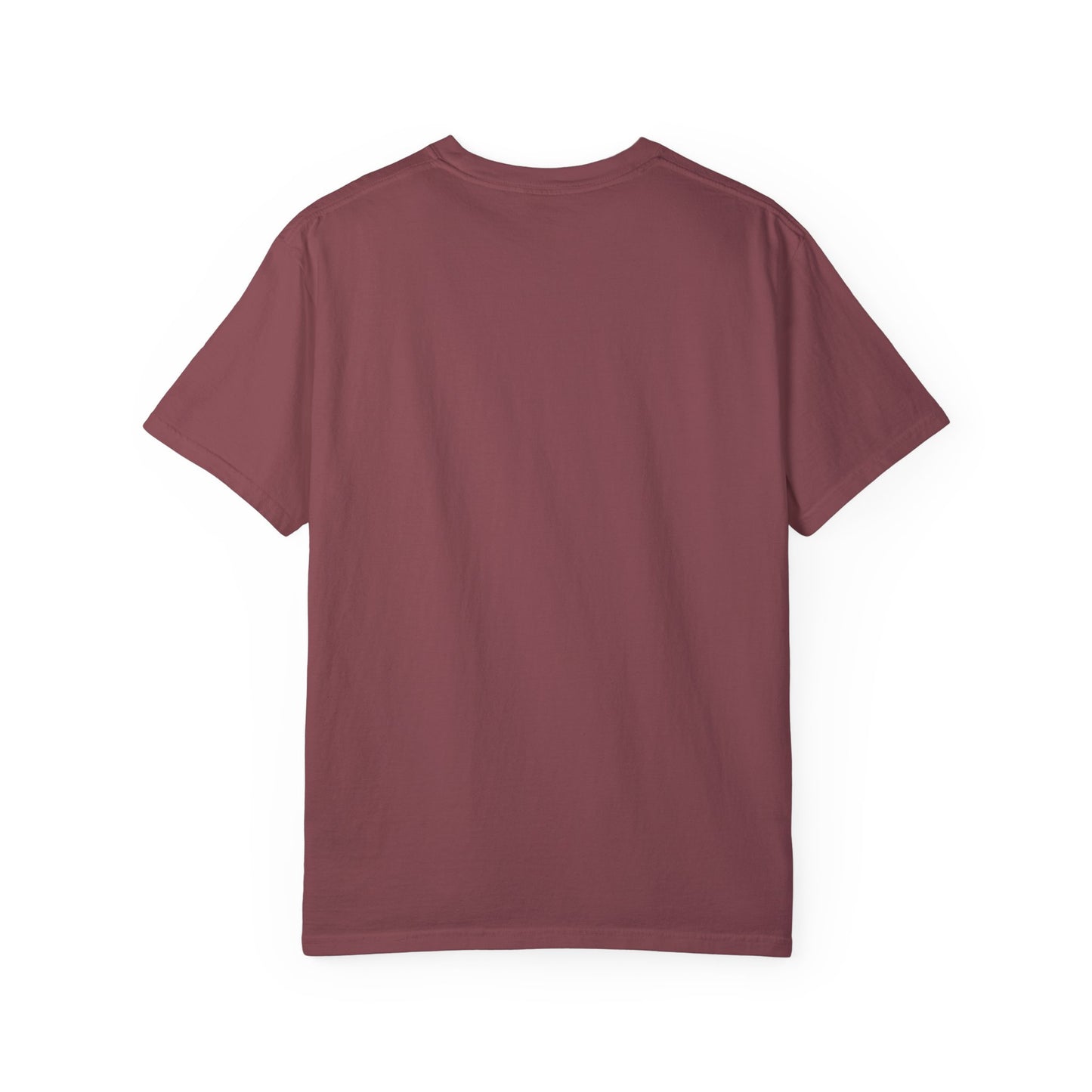 Vintage Squid Game T-Shirt (Comfort Colors)